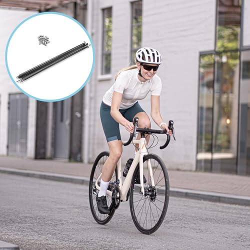 14G Stainless Steel Bicycle Spokes Set - 12pcs 290mm Black