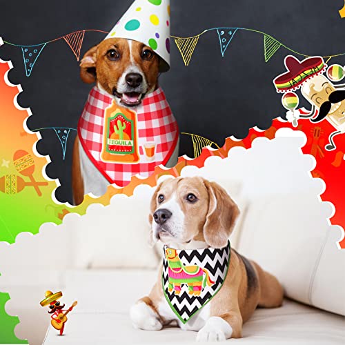 Cinco De Mayo Dog Bandanas - 3 Pack Taco Cactus Design
