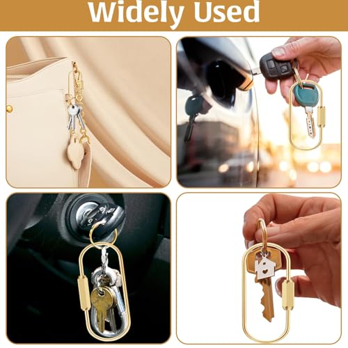 Brass Screw Lock Keychain Set with 8 Flat Rings - Gold