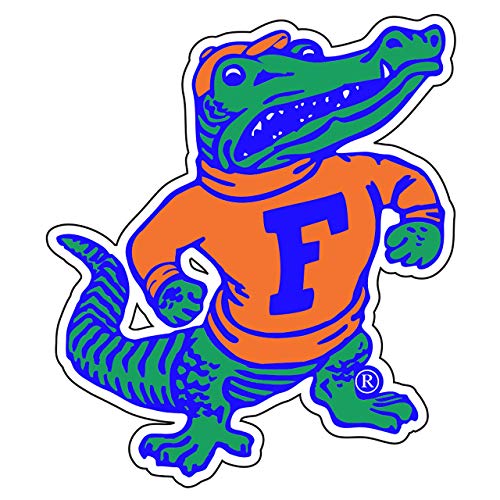 Florida Gators Magnet - Officially Licensed NCAA Team Magnet