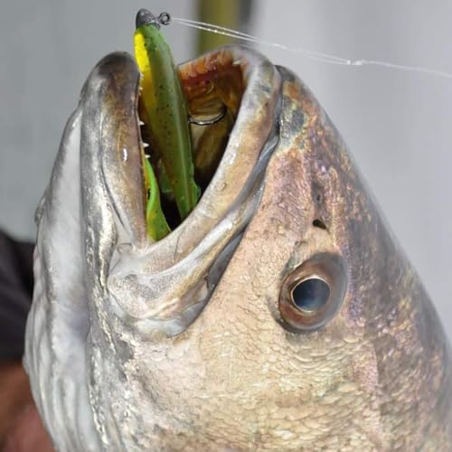 20-Piece Fishing Lures Kit with Tackle Box - Crankbaits, Jigs & More