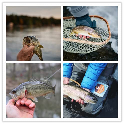 50PCS Fishing Hooks Set - Premium High Carbon Steel with Box