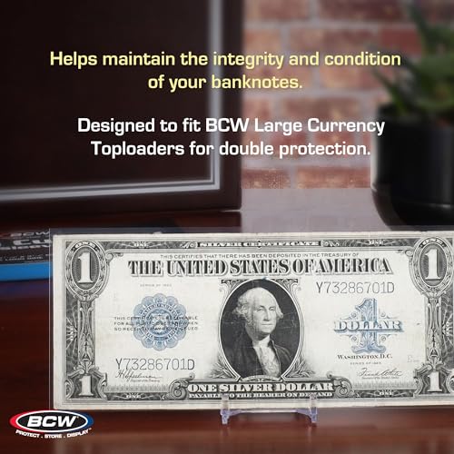 Large Bill Currency Sleeves - 100-Pack | Archival Safe Clear Protectors