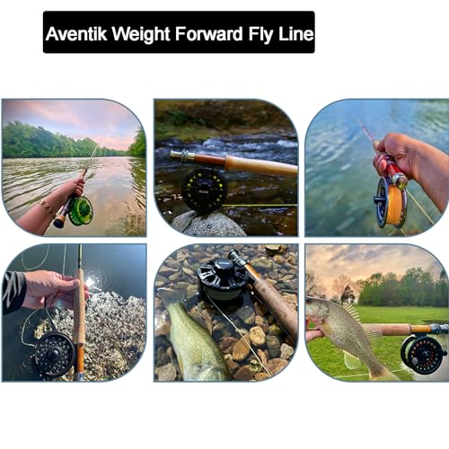 Floating Trout Fly Fishing Line - 100FT Moss Green WF2F