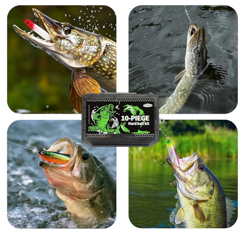 FONMANG 10pcs Hard Bait Fishing Kit with Tackle Box - Lures for Bass Walleye Trout