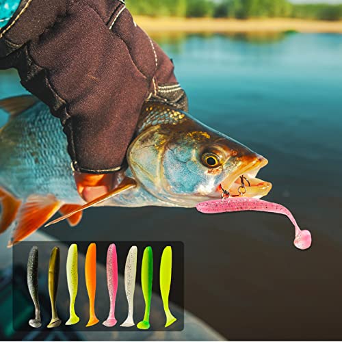 24 Pcs Soft Plastic Fishing Lures - Paddle Tail Swimbaits for Bass & Trout