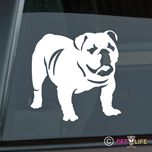 English Bulldog Vinyl Sticker for Car Window - 5.5"