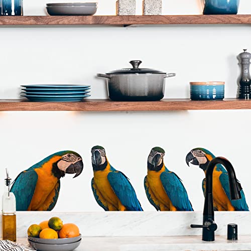 Removable 3D Exotic Pet Birds Wall Stickers, Parakeet Macaw Parrot Wall Decals, Peel and Stick Living Room Kids Bedroom Office Wall Decor
