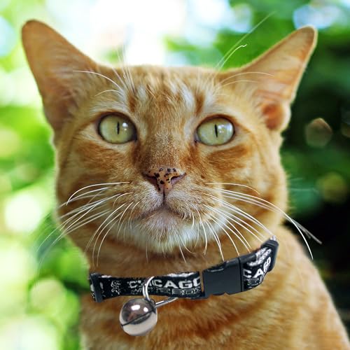 Chicago White Sox Durable Cat Collar with Jingle Bell