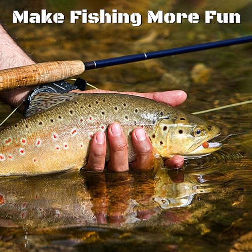KJEIM 24pcs Fly Fishing Flies Kit for Salmon, Trout & Steelhead with Brass Beadhead Glo Bug Eggs