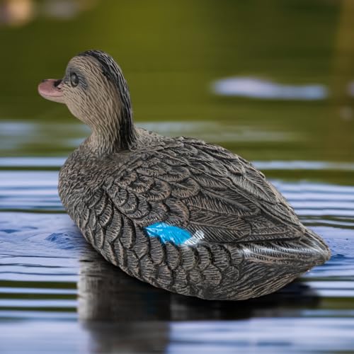 Realistic Mallard Duck Decoy (1) for Hunting & Ornament - Cifavor