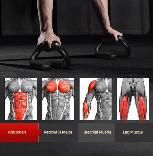 Push Up Bars with Extra Thick Foam Grip - Black / L