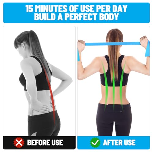 Resistance Bands for Exercise & Physical Therapy - 3 Levels