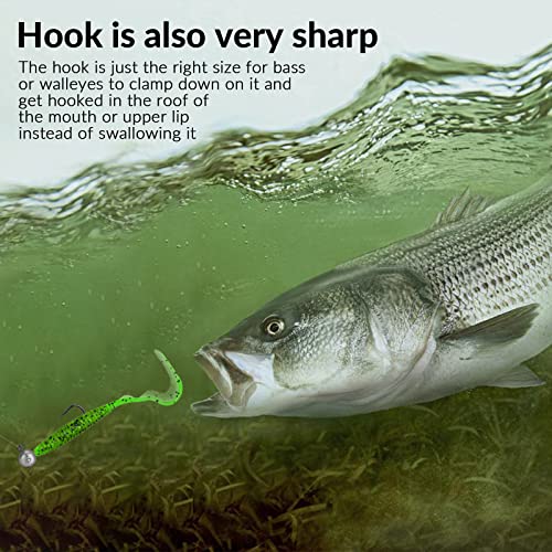 THKFISH 1/6oz Ball Jig Heads with Bait Holder - 10 Pcs