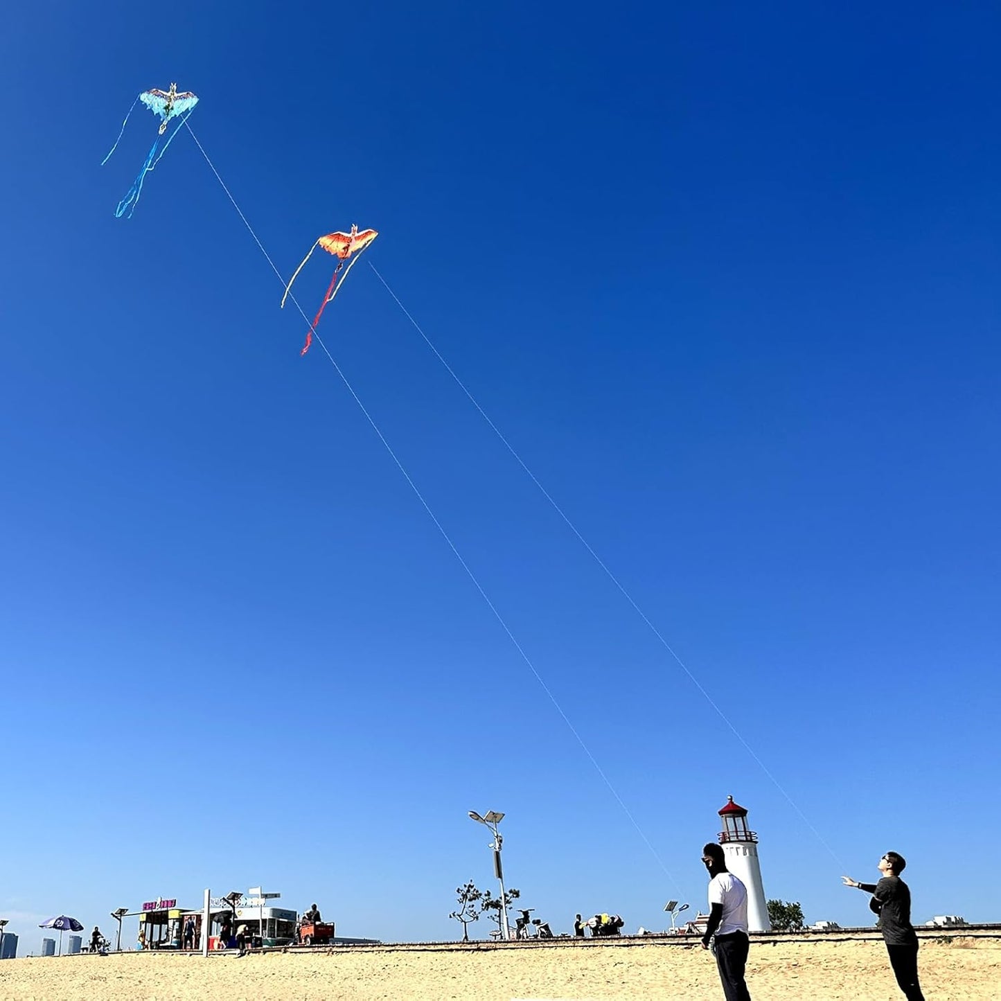 Mint's Colorful Life Dragon Kite - Easy to Fly for Kids & Adults | 300ft Kite String Included