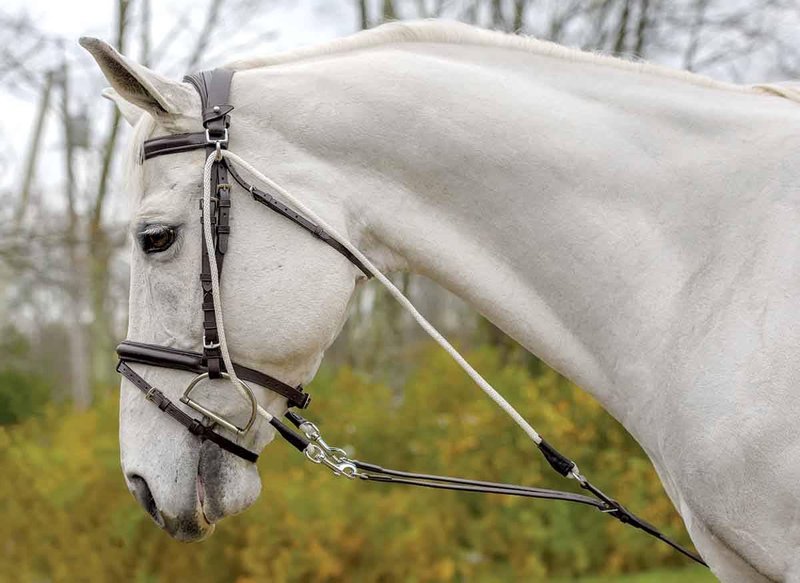 Shires Avignon DE GOGUE TRAINNG AID (X-Full, Black)