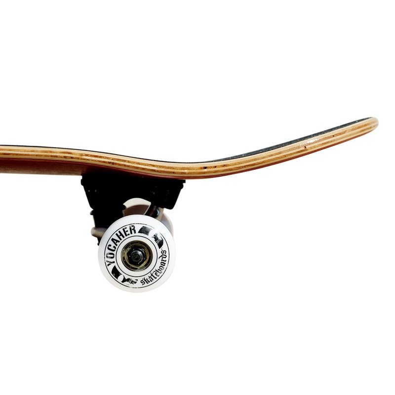 Yocaher Punked Complete Skateboard 7.75" x 31" Pro Skateboards with Black Widow Grip Tape, Aluminum Alloy Truck, ABEC-9 Bearing, 54mm Skateboard Wheels (Complete 7.75" Rasta)
