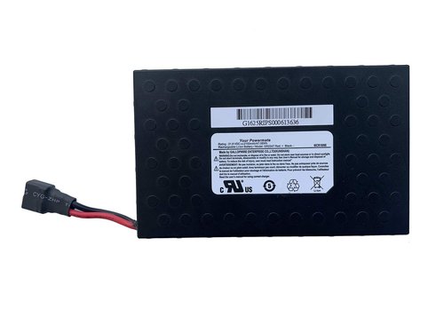 GR2247 RS2202 Rechargeable Battery for GLW LG Razor RipStik Electric Caster Board Scooter 6ICR19/66 21.9V 2150mAh/47.08Wh