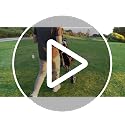 Lightweight 3-Wheel Golf Push Cart with Umbrella Holder - Charcoal