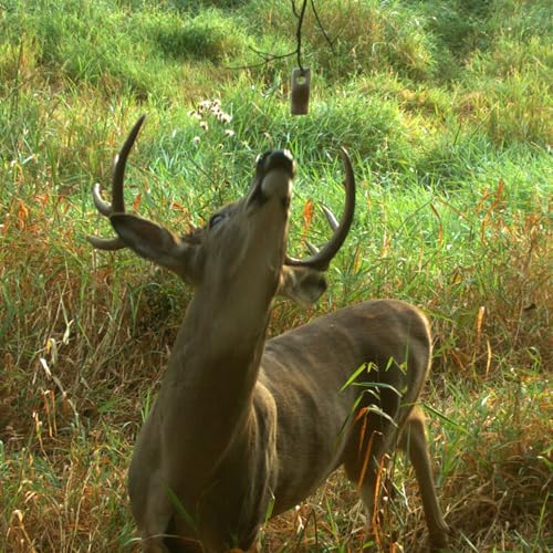 Pro-Wick Scent Dispensers - 4 Pack for Deer Attractants