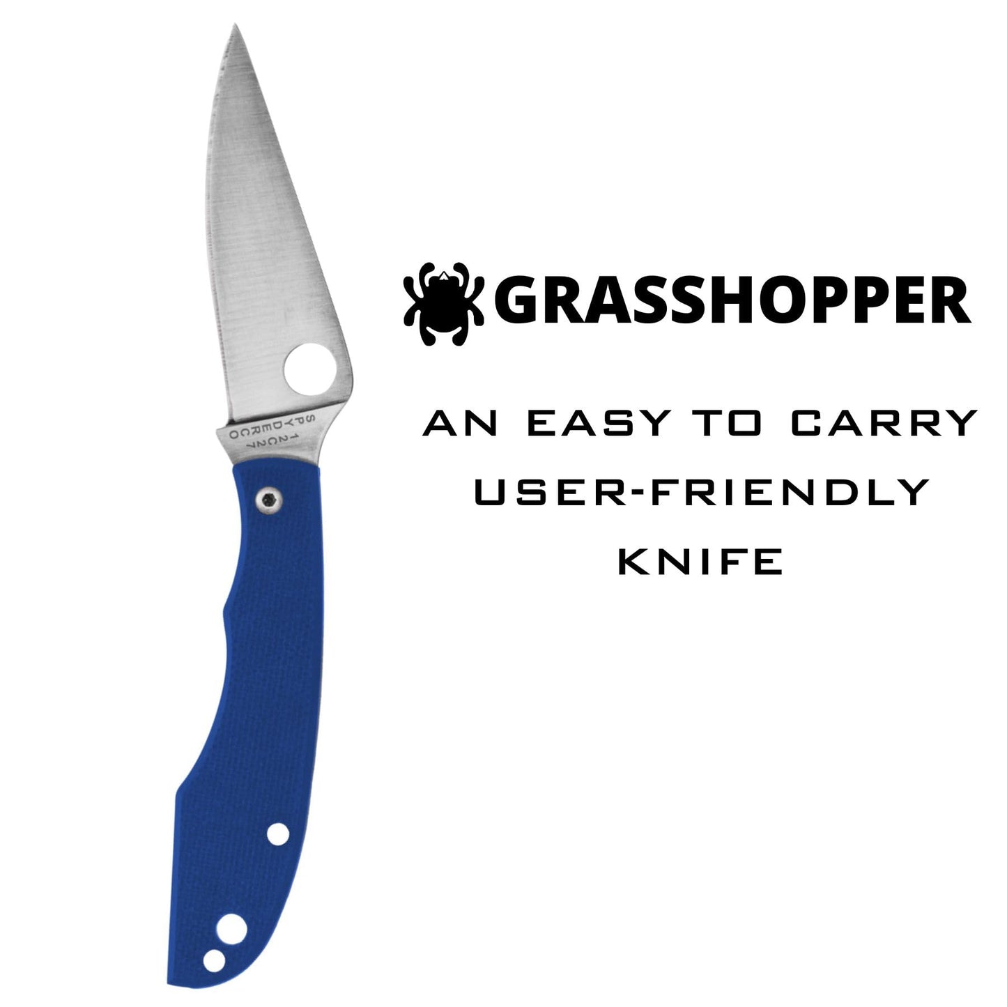 Spyderco Grasshopper Micro-Sized Slipjoint Knife with 2.3" 12c27 Steel Blade and G-10 Handle - EDC Knife for Men and Women, Perfect for Hunting, Tactical, Camping, Survival - PlainEdge - C138GBLP