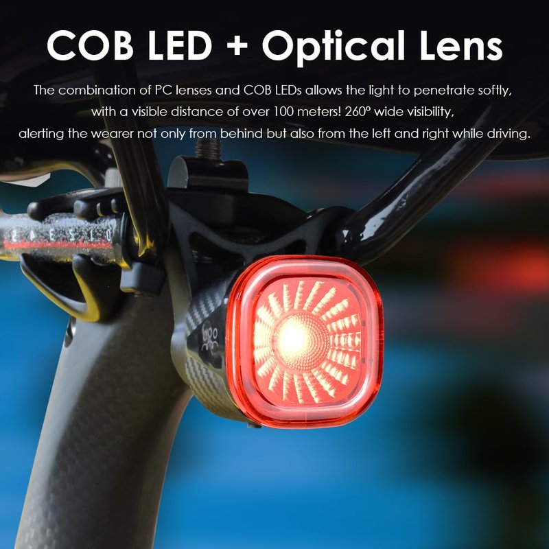 LAOPAO Smart Bike Tail Rear Lights: Small Brake Sensing Bicycle Bright Red Taillights Auto On/Off for Night Ride - USB Rechargeable IPX6 Waterproof Cycling Safety LED Accessories, RS2, Black, RS2-01