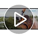 Full Face Snorkel Mask for Adults - 180° Panoramic View, Anti-Fog, Black / Large / X-Large