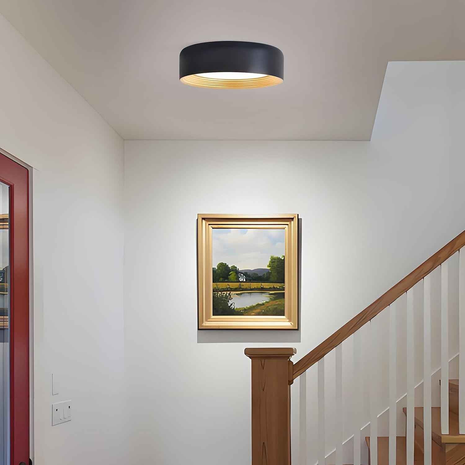 24W Dimmable LED Flush Mount Ceiling Light Fixture - 11.81" Modern 5CCT 3000K-6500K for Kitchen, Hallway & Laundry Room