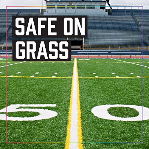 Stripe Athletic Field Marker Paint - White, 1 Count