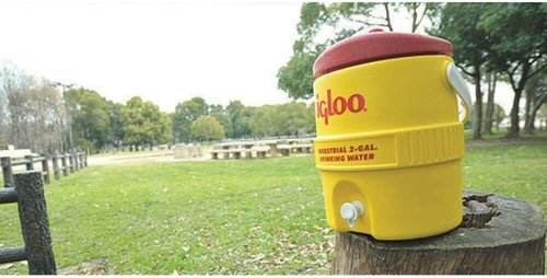 Igloo Beverage Cooler - 2 Gallon Capacity | Bright Yellow and Red Design for Outdoor Fun