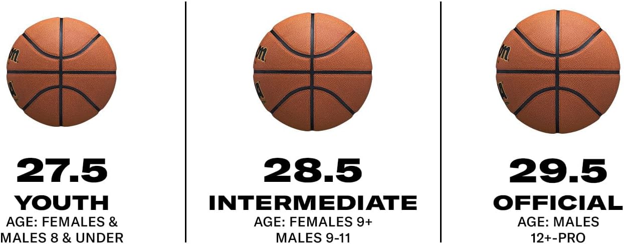WILSON Caitlin Clark Basketballs - High-Performance Design for Ultimate Control | Official Size