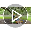 40-Inch Saucer Tree Swing for Kids - 600lb Capacity, Adjustable Ropes