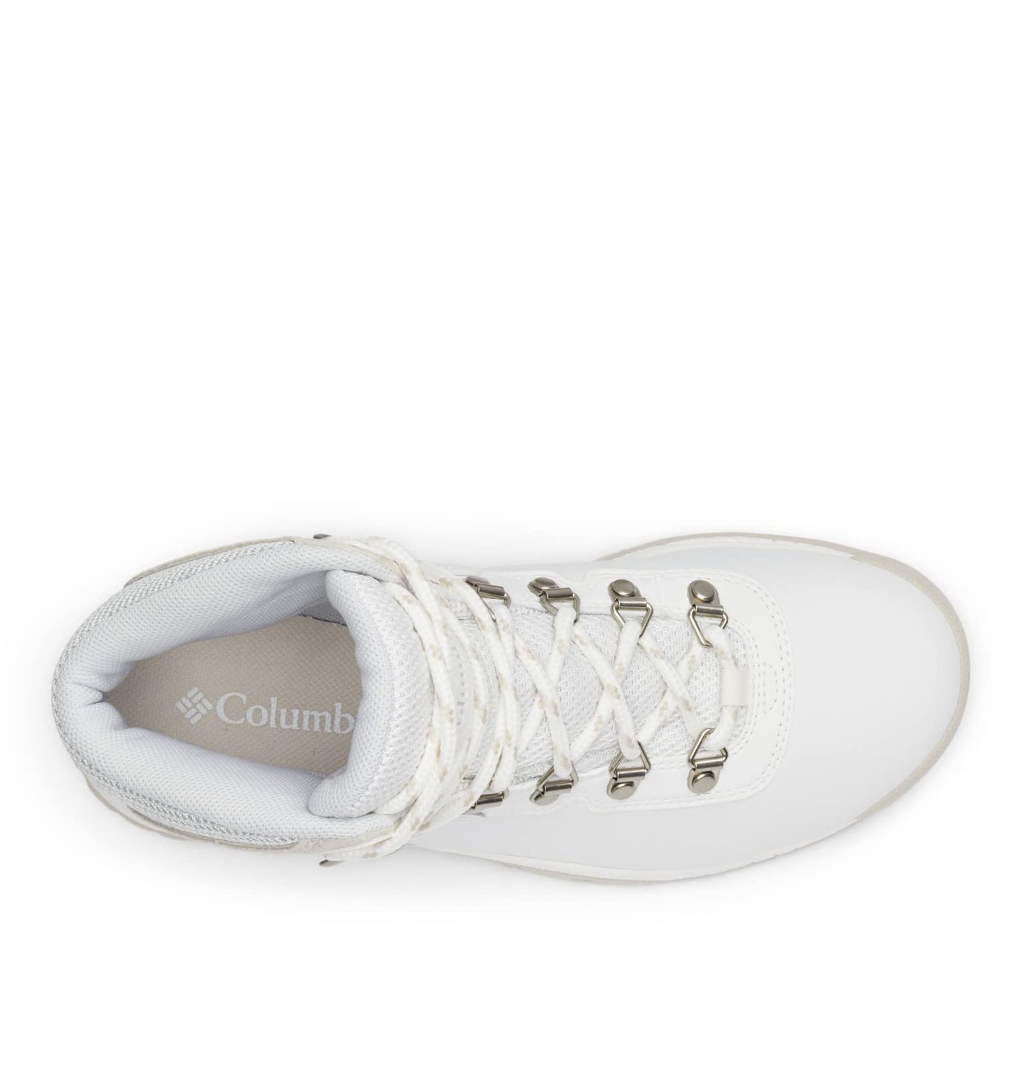 Columbia Women's Newton Ridge Plus, Sea Salt/Dark Stone, 8.5