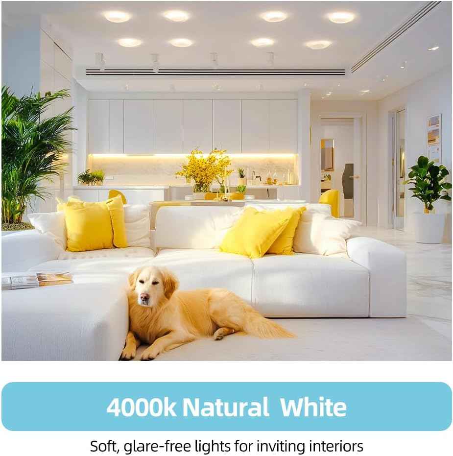 BR30 LED Bulbs 36-Pack - 65W Equivalent, 5000K Daylight, Dimmable, Flicker-Free, Energy Efficient E26 Base