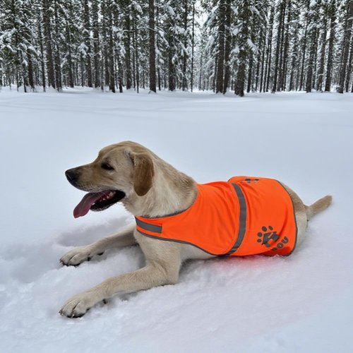 IDOU Reflective Dog Vest Plus, Enhanced 380CD Blaze Orange Safety Vest for Dogs, Adjustable for Walking, Jogging, Hunting - Size L