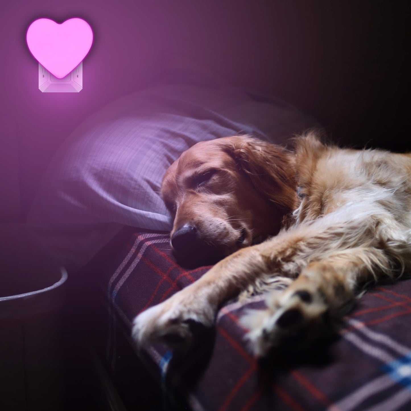 INZU Night Lights Plug into Wall, LED Night Light for Kids, Cute Nightlight with Auto Dusk to Dawn Sensor, LED Nightlight with Soft Warm Light for Bedroom, Nursery, Bathroom, Hallway (4Pack Pink)