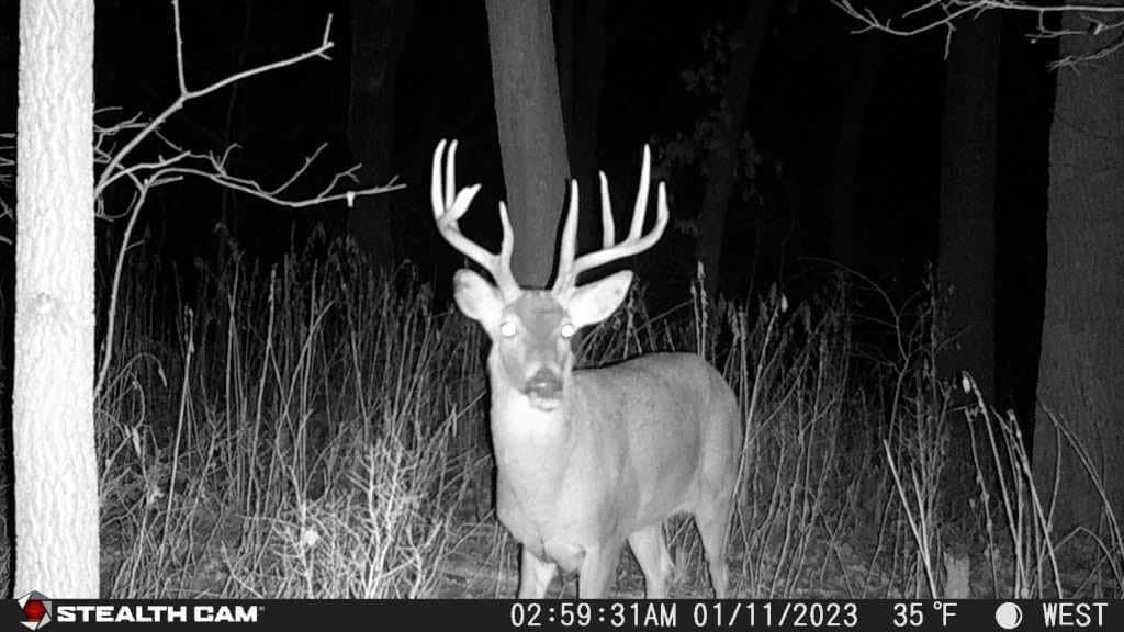 Stealth CAM Fusion X-Pro Dual Sim 36 MP Photo & 720P HD Video 0.4 Sec Trigger Speed Wireless Hunting Trail Camera - Available on AT&T & Verizon