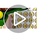 200 Pcs Softball Award Stickers - Self Adhesive Decals