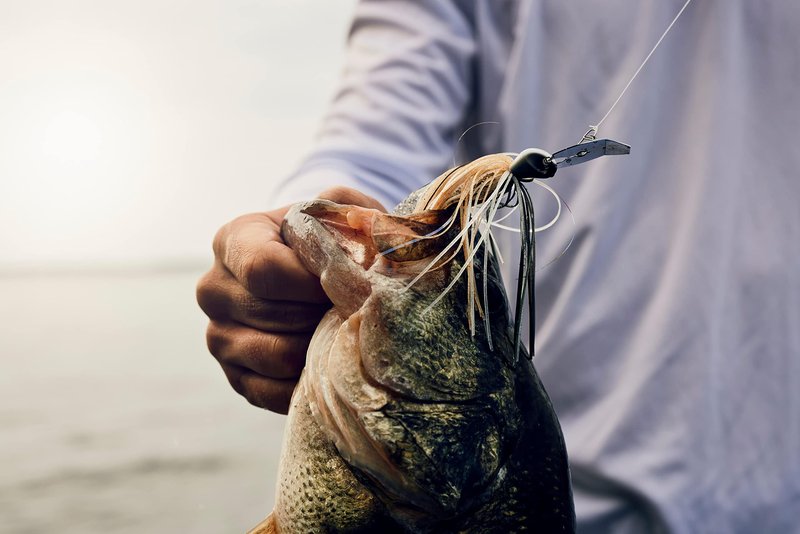 Berkley Slobberknocker and Power Stinger Kit, Green Pumpkin, 1/2 oz., Innovative Design Drives Consistent Vibration Through Entire Trailer, Jig and Swimbait for Bass Fishing, Fusion19 Hook