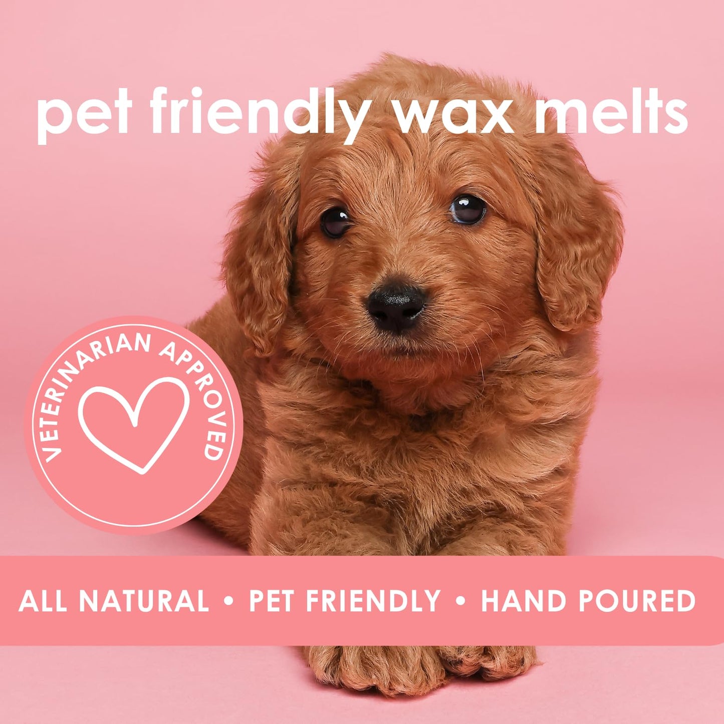 Walk in The Woods | Pet Safe Wax Melts | All Natural Soy | Non-Toxic | Dog Friendly | Vet Approved | Long Lasting Home Fragrance | Pet Odor Eliminator | Clean Burning Wax Cubes | Safe Air Freshener
