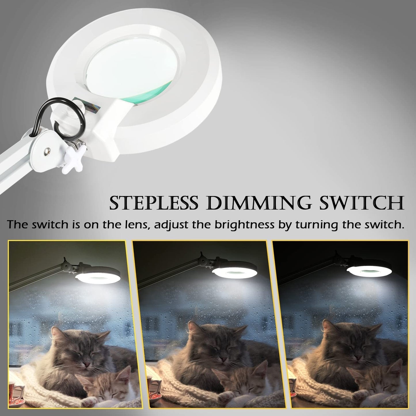 VARIPOWDER Magnifying Glass with Light and Stand with 5 Wheels Rolling for Estheticians Mag Floor Lamp for Facials Dimmable Work -1500 Lumens for Lash Extensions, Sewing, Close Work, Crafts