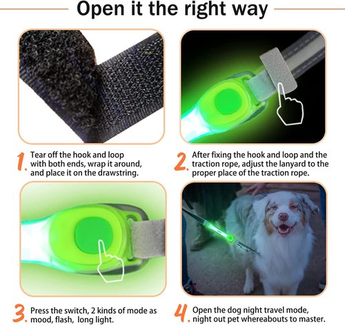 LaRoo Dog Collar Light - Universal LED Safety Lights for Night Walking | Green Nylon Stickers