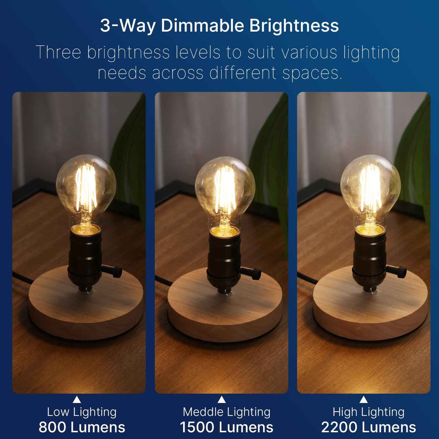 FLSNT 3 Way LED Light Bulb E26 Standard Base, 50W 100W 150W Equivalent, 3-Way Dimmable A23 LED Clear Light Bulbs, 2700K Soft White,800lm-1500lm-2200lm 2 Pack
