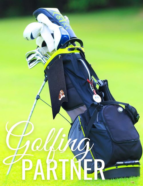 CybGene Basset Hound Gifts Golf Towel, Gifts for Basset Hound Lovers, 15.7“x23.6” Microfiber Golf Towel for Golf Bags for Birthday, Christmas