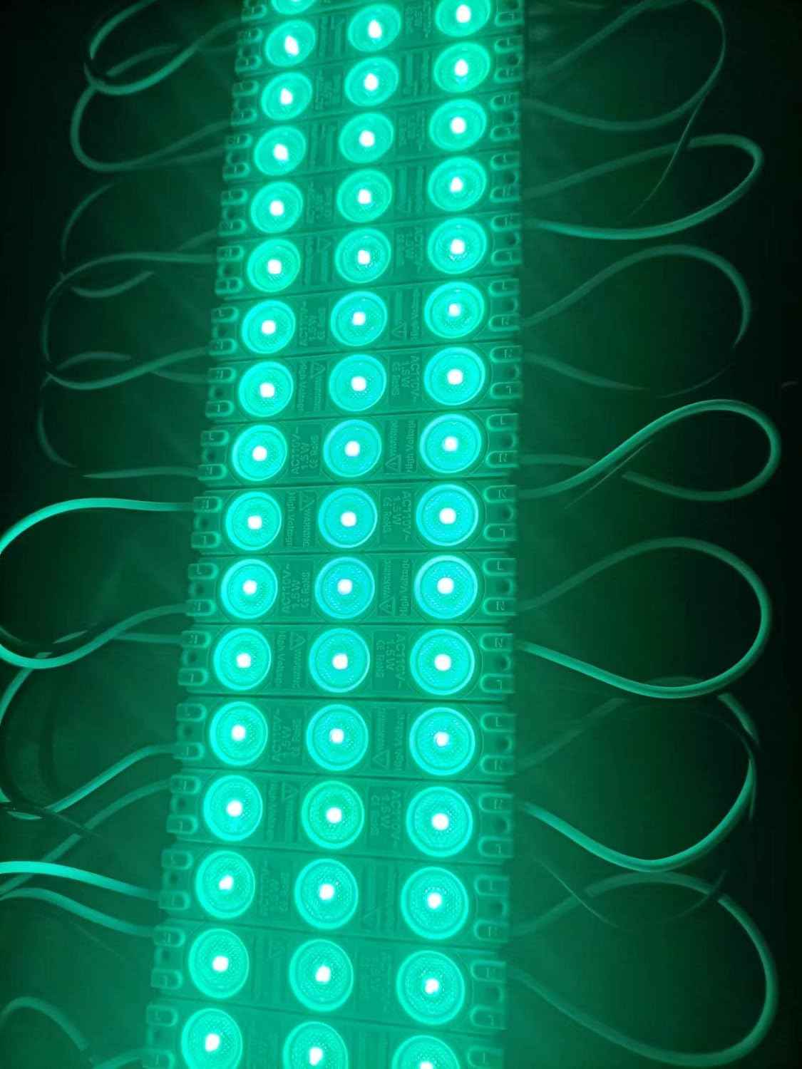 110V AC LED Module - 100pcs 1.5W White Decorative Lights for Signage & Advertising
