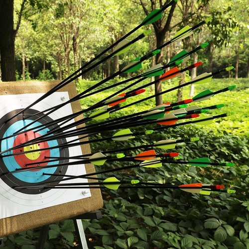 LWANO 28" Fiberglass Arrows - Durable Target Arrows with Blunt Tips for Youth & Beginners | Pack of 12