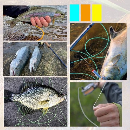 8 Pack Welded Tapered Fly Fishing Leaders - 9ft Nylon with Loop | Sizes 0X to 7X