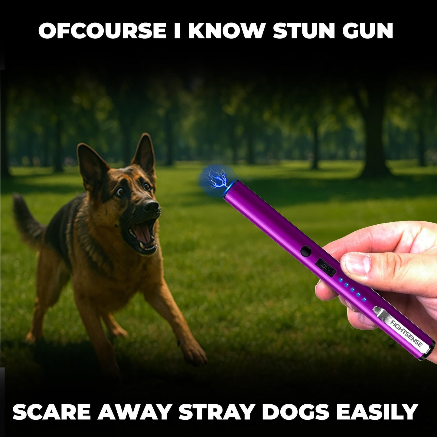 FIGHTSENSE Pen Stun Gun for Self Defense Battery Life Indicator, Belt Clip, Pen Flashlight stun Gun for Women self Defense (Purple)
