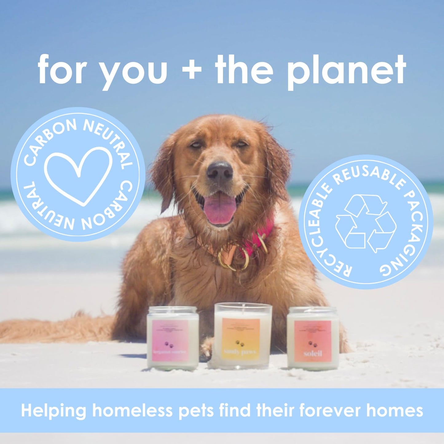 Walk in The Woods | Pet Safe Wax Melts | All Natural Soy | Non-Toxic | Dog Friendly | Vet Approved | Long Lasting Home Fragrance | Pet Odor Eliminator | Clean Burning Wax Cubes | Safe Air Freshener