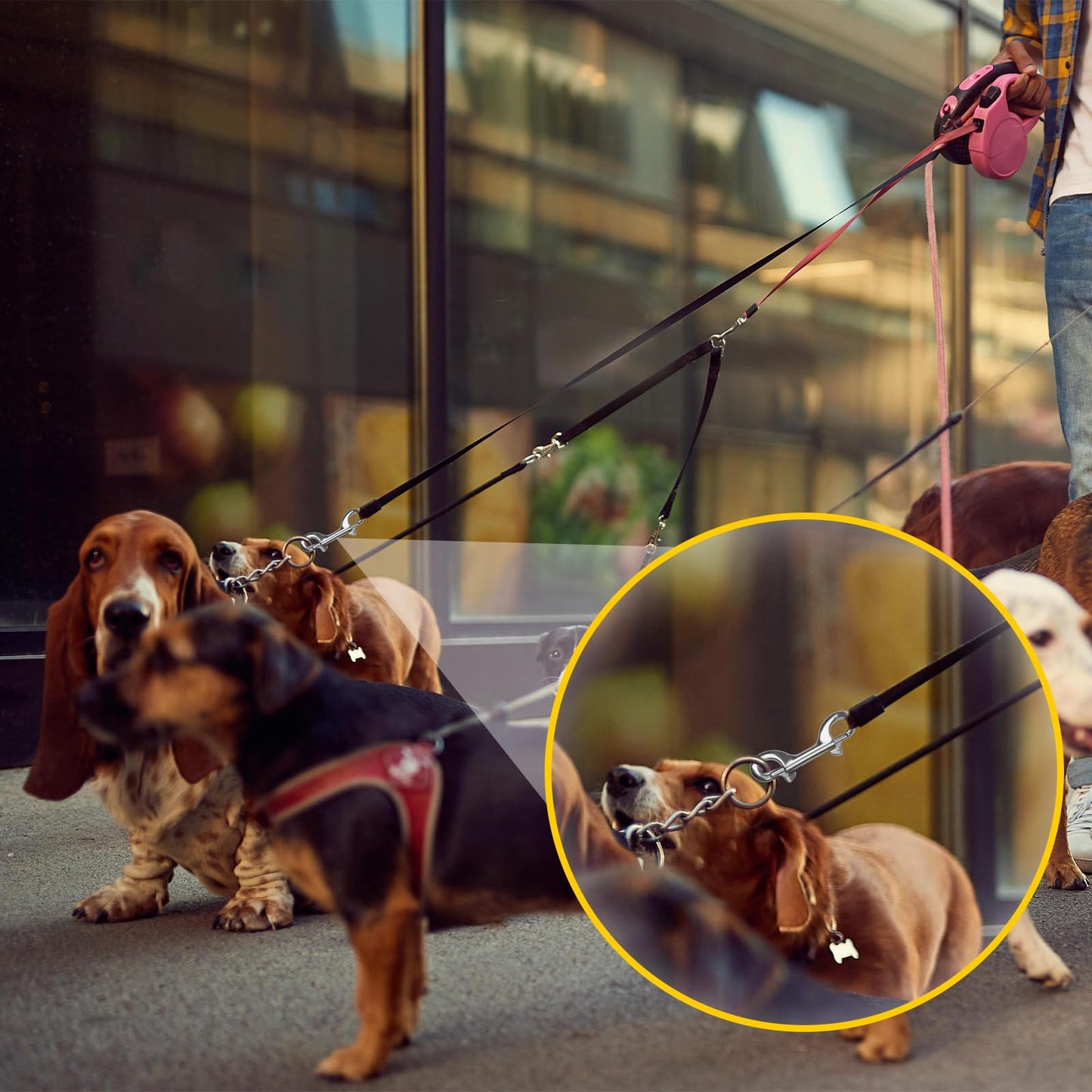 YUEARN Double Ended Bolt Snap Hook, 2-Pack 3-1/2 in 316 Stainless Steel Marine Grade Double End Trigger Snaps Metal Clips for Dog Leash, Key Chain, Horse Tack, Pet Feed Buckets, Diving